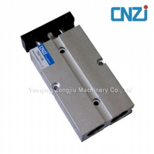 Twin guide pneumatic cylinder